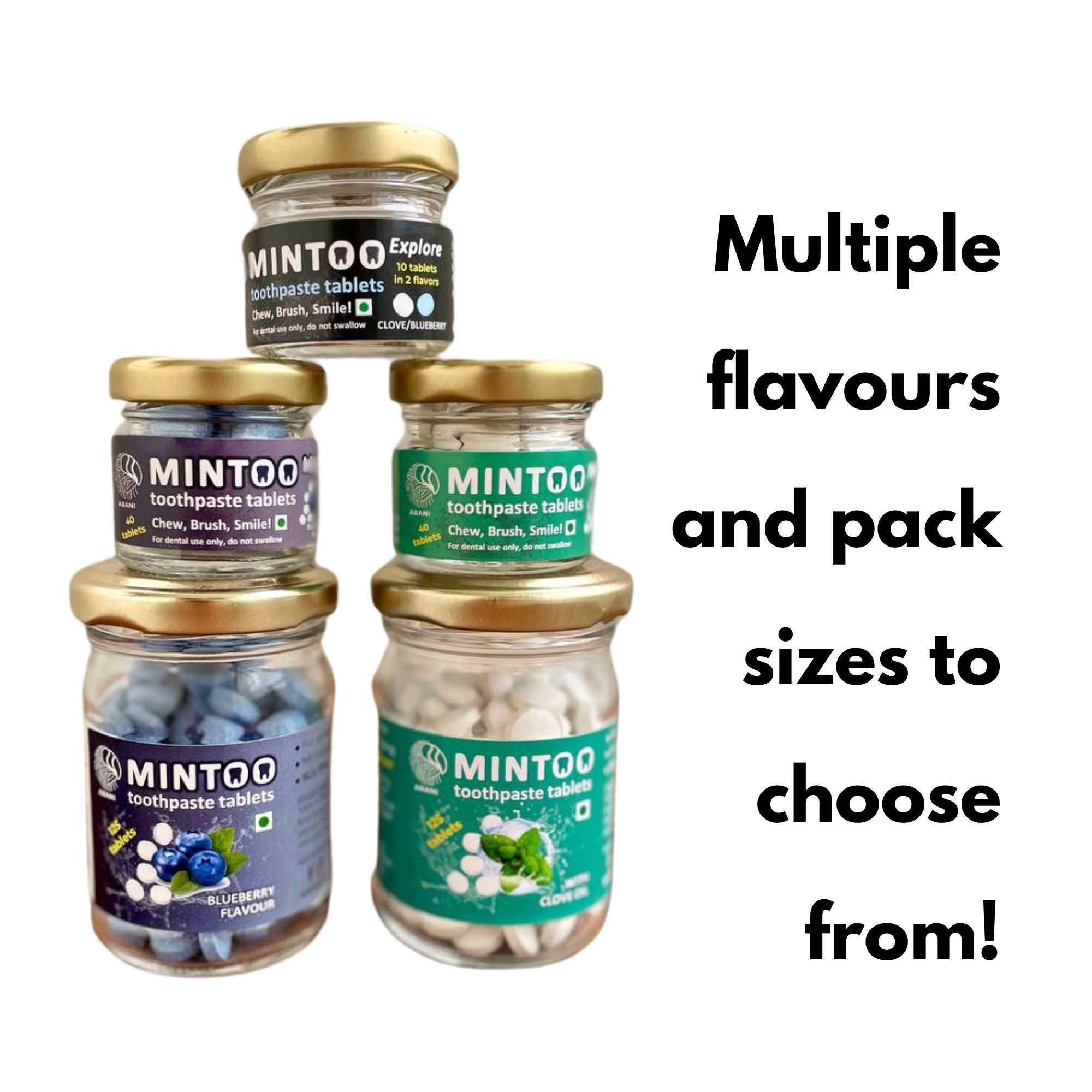 MINTOO Explore (10 Toothpaste Tablets Clove & BlueBerry