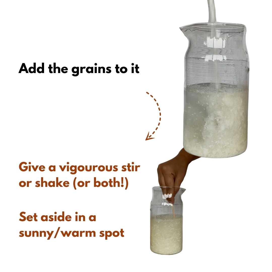 ALUNA Conditioning Shampoo Grain-to-Liquid 600ml